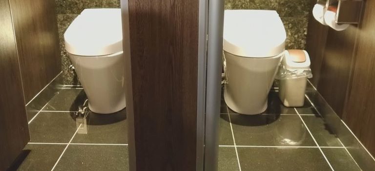 慌てないための日常ケアとトイレつまり対処と専門業者の活用ポイント解説 慌てないための日常ケアとトイレつまり対処と専門業者の活用ポイント解説