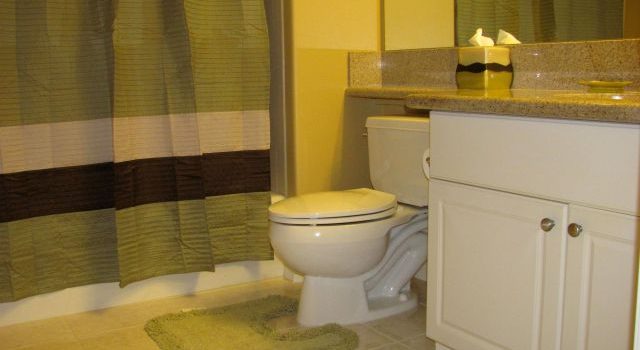 台所の水回りを守る毎日の手入れと清潔が家族の健康を支える 台所の水回りを守る毎日の手入れと清潔が家族の健康を支える